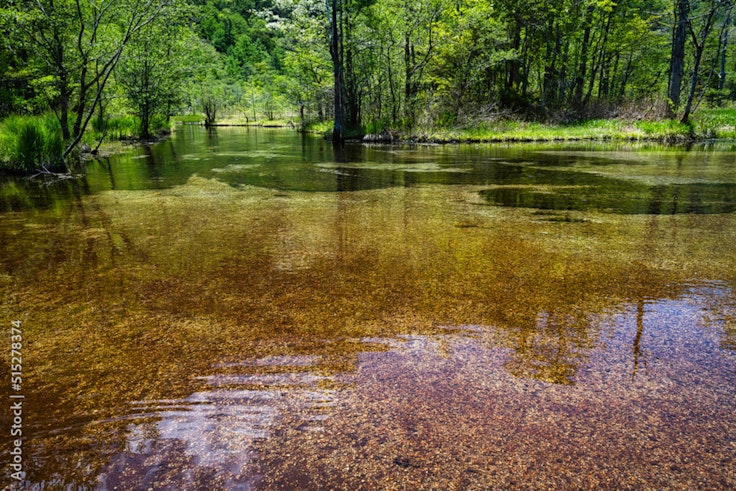 Tashiro Pond