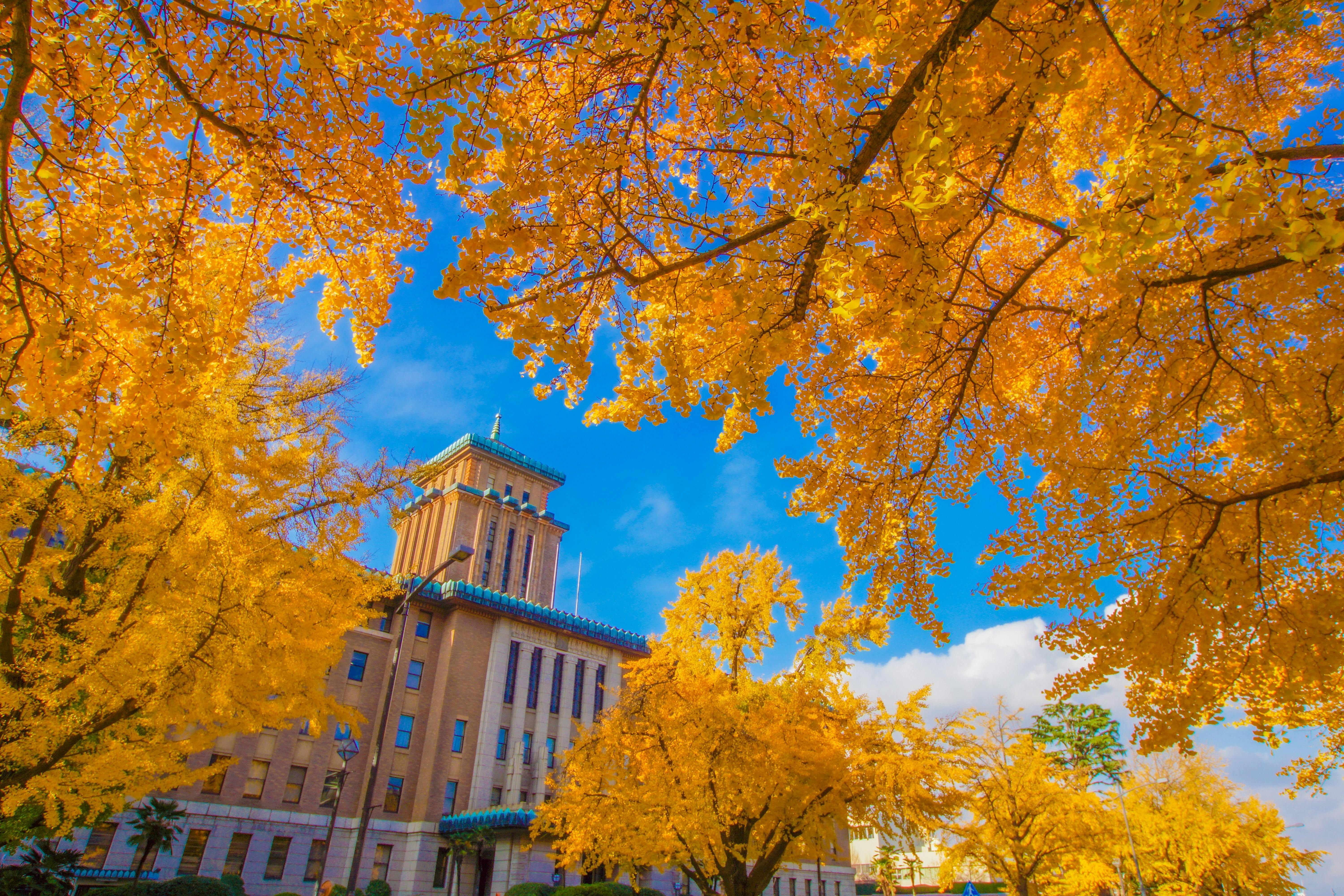 A historic building with a green roof is surrounded by vibrant yellow autumn trees, set against a bright blue sky with scattered clouds.