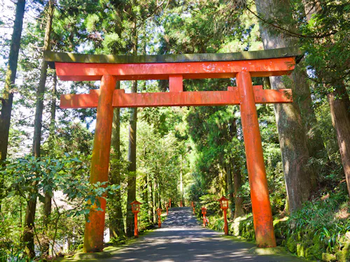 Hakone Mototsumiya Shrine A large red torii gate stands over a paved pathway surrounded by tall, green trees and lush forest vegetation, with small lanterns lining the path.