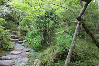A stone pathway with steps winds through a lush, green garden filled with various trees, bushes, and plants. A tree supported by wooden posts stands in the foreground. The scene appears peaceful and natural.