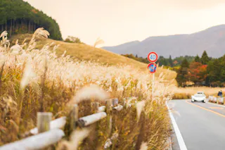 A winding road passes through tall golden grass under a soft, pastel sky. Speed limit and no parking signs are visible, with distant mountains, trees, and a parked white car in the background.