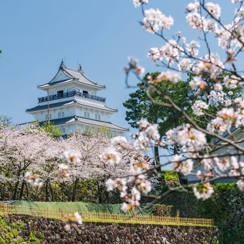 Nagasaki Tourism Nagasaki Tourism