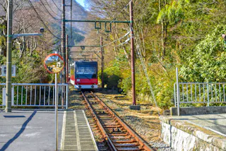 Hakone Hydrangea Train