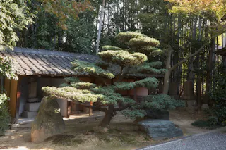 Tōgan-ji