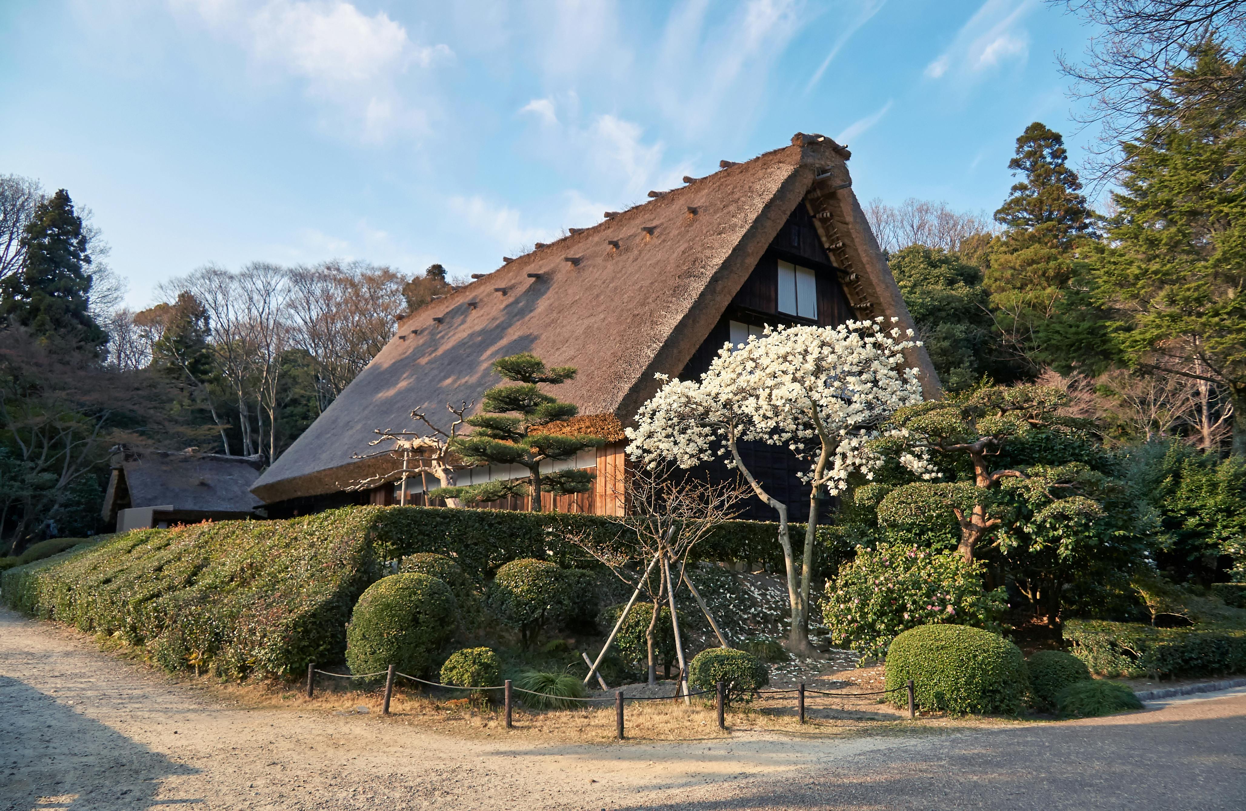 A traditional Japanese house with a steep thatched roof stands amid manicured bushes and blooming trees, surrounded by greenery under a blue sky with wispy clouds.