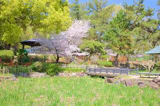 Tsuruma Park