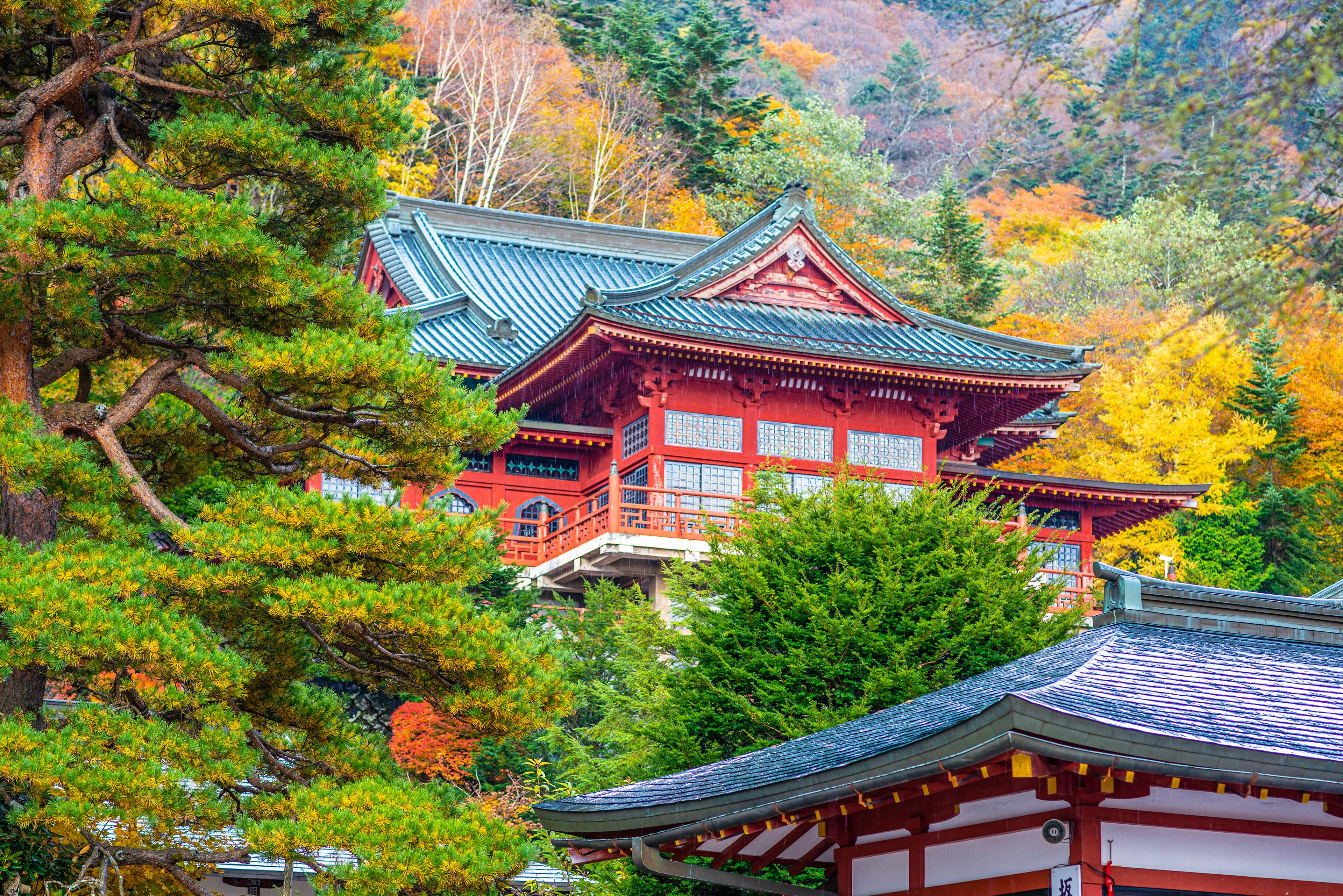 A traditional Japanese temple with red walls and ornate roofing stands among vibrant autumn trees with green, yellow, and orange foliage. Pine branches and part of another roof appear in the foreground.