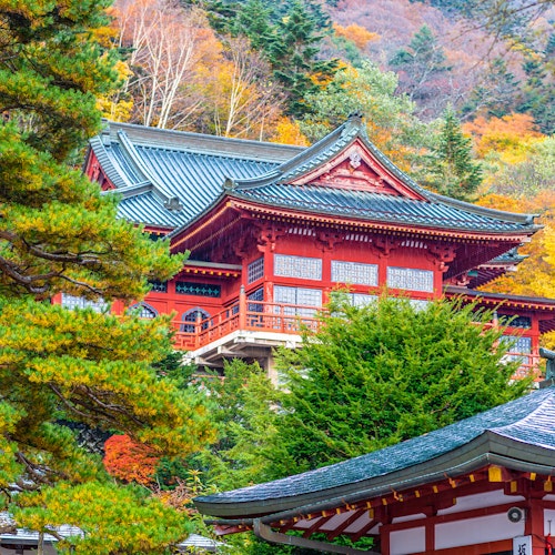 Chuzen-ji Temple A traditional Japanese temple with red walls and ornate roofing stands among vibrant autumn trees with green, yellow, and orange foliage. Pine branches and part of another roof appear in the foreground.