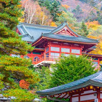 Chuzen-ji Temple A traditional Japanese temple with red walls and ornate roofing stands among vibrant autumn trees with green, yellow, and orange foliage. Pine branches and part of another roof appear in the foreground.