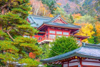A traditional Japanese temple with red walls and ornate roofing stands among vibrant autumn trees with green, yellow, and orange foliage. Pine branches and part of another roof appear in the foreground.