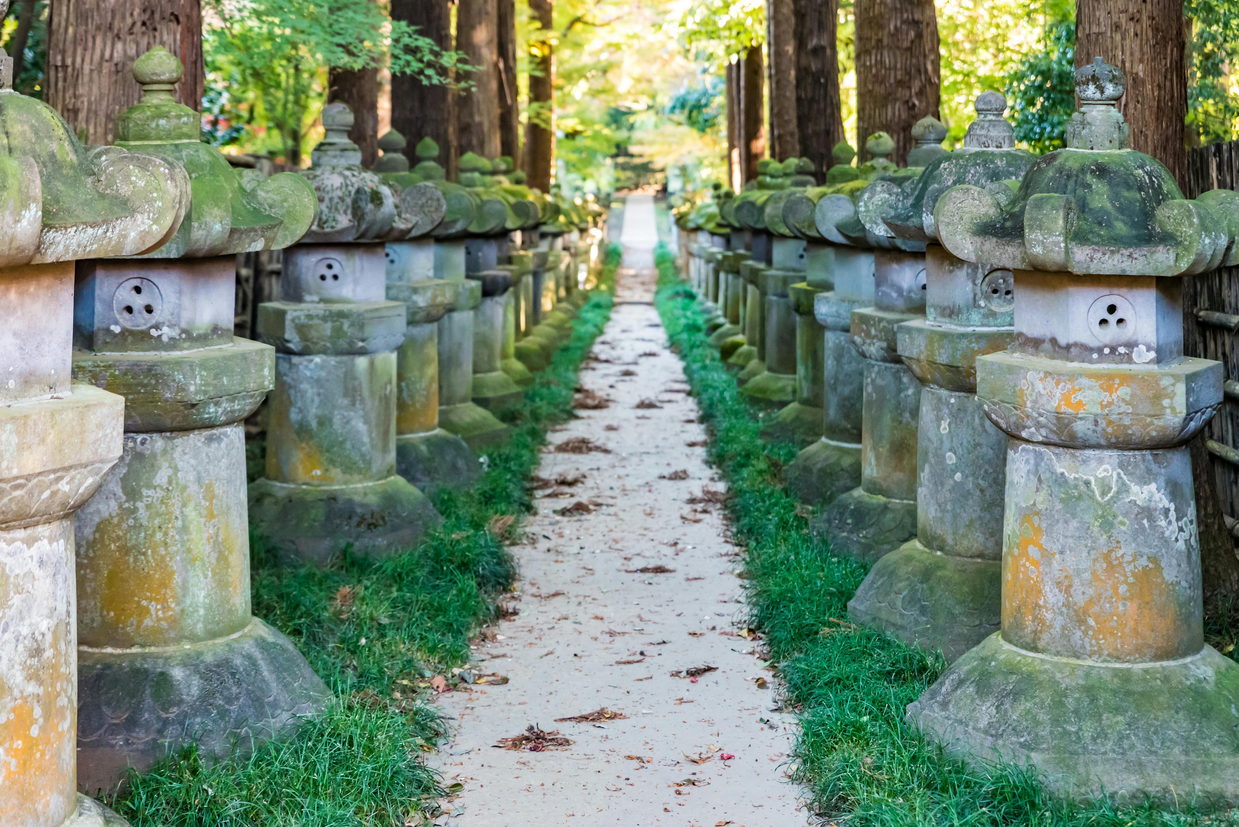 A narrow stone path lined with mossy stone lanterns stretches into the distance, surrounded by tall trees and greenery in a peaceful outdoor setting.