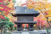 A traditional Japanese wooden gate with a thatched roof stands among vibrant autumn trees with red, orange, and yellow leaves. People are walking through the gate, and sunlight filters through the foliage.