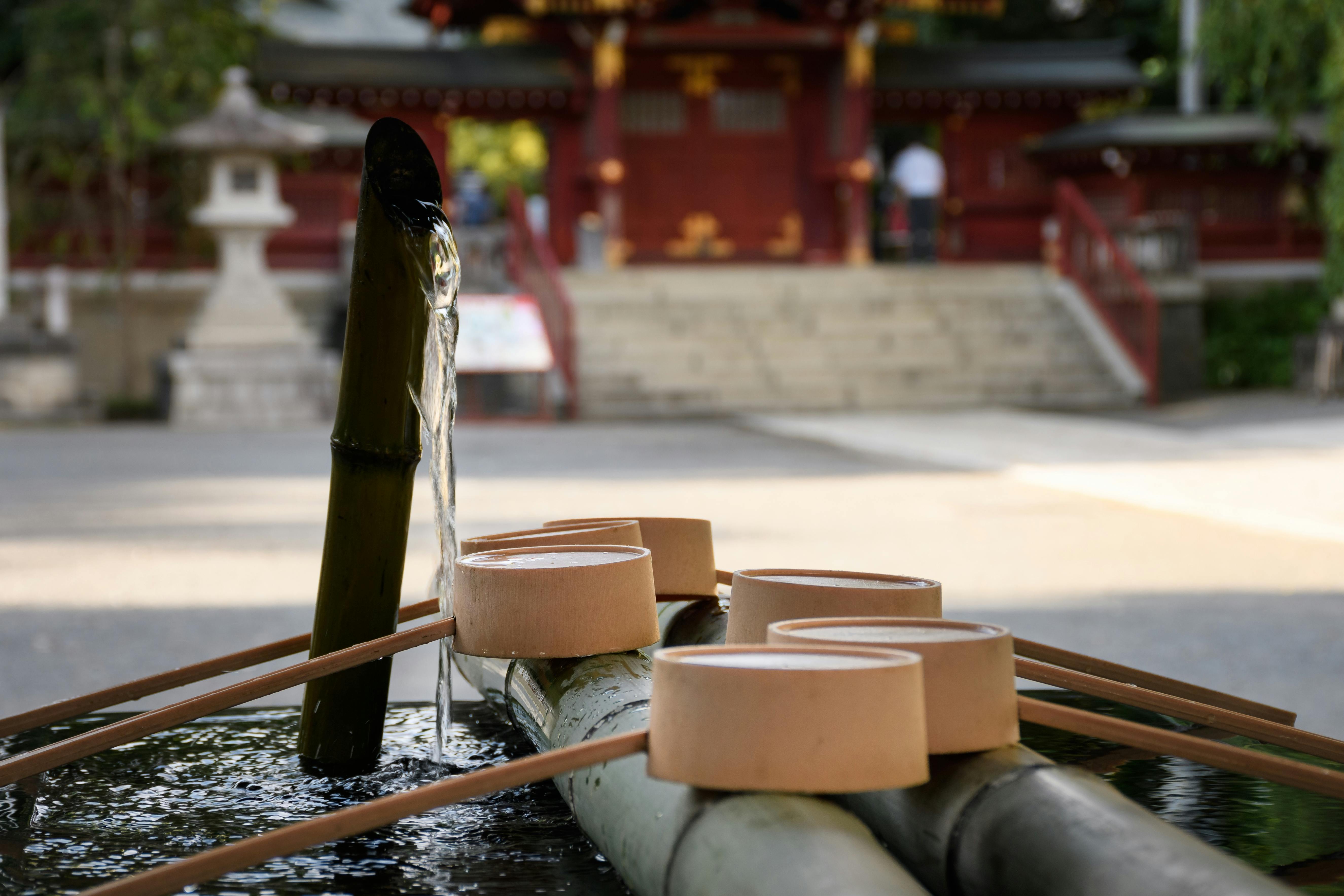 A bamboo water fountain with wooden ladles at a Japanese shrine, with a traditional red building and stone lantern blurred in the background.