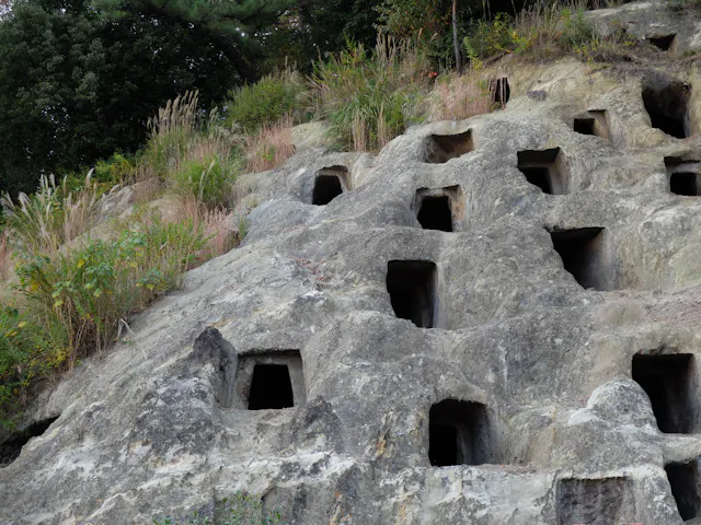 A rocky hillside with multiple square-shaped holes carved into its surface, surrounded by greenery and tall grasses.