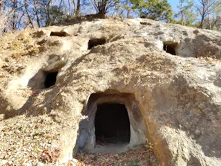 A rocky hillside with several rectangular cave openings, appearing to be ancient tombs or dwellings, surrounded by fallen leaves and sparse trees under a clear blue sky.