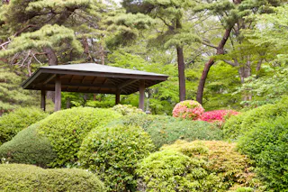 A wooden gazebo stands amid lush green bushes and colorful flowering shrubs, surrounded by tall trees in a peaceful garden setting.