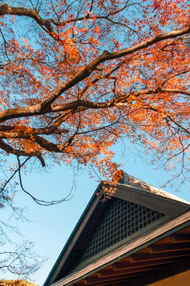 Omiya Bonsai Art Museum