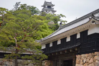 A traditional Japanese castle with white walls and black accents rises above lush green trees, partially visible behind a stone wall and gate in the foreground. A pine tree is also in view.