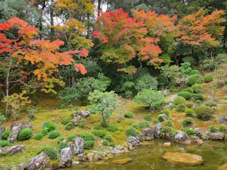 A serene Japanese garden with vibrant autumn trees in shades of red and orange, green shrubs, moss-covered ground, rocks, and a clear pond in the foreground.