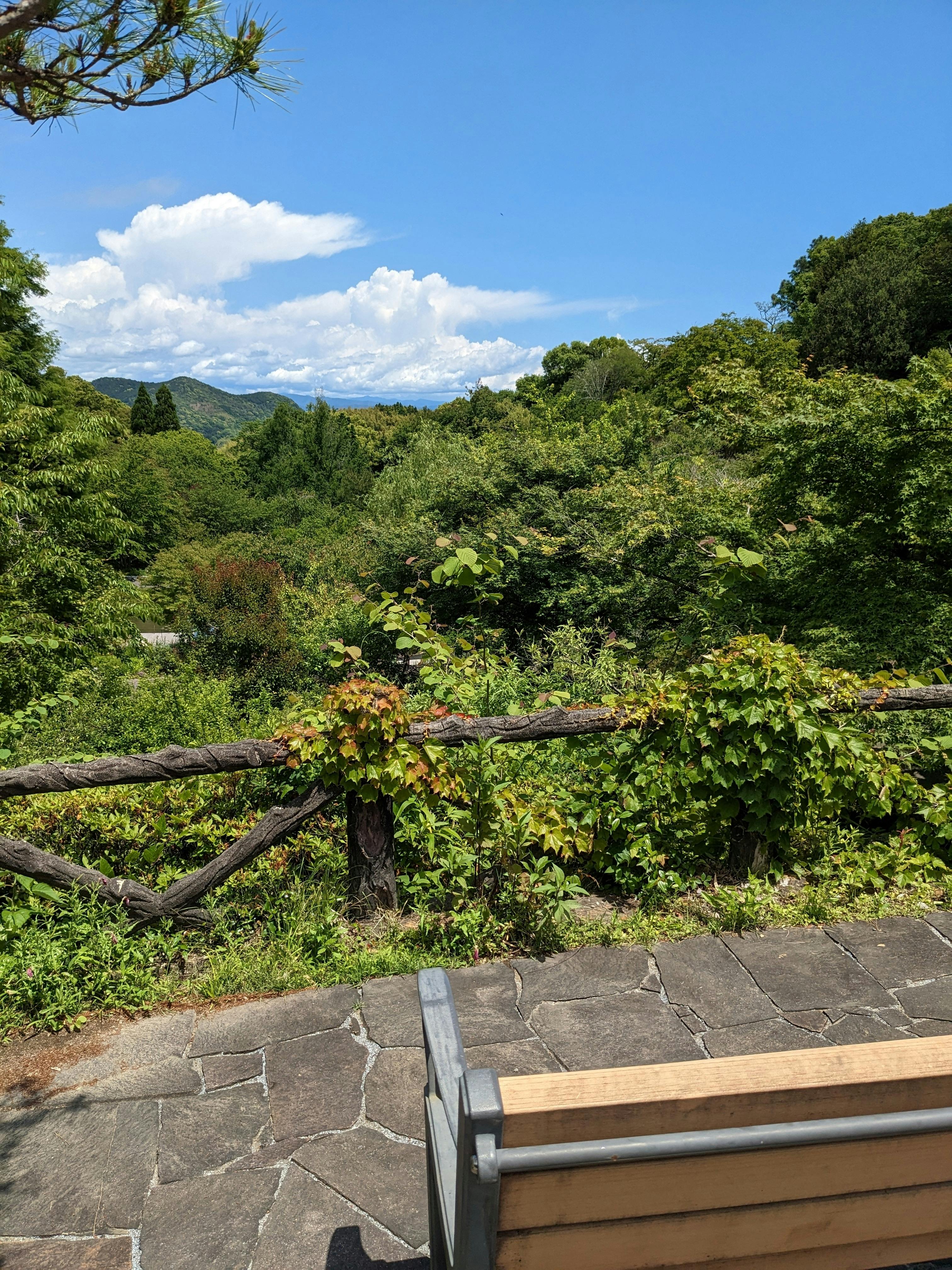 The Kochi Prefectural Makino Botanical Garden