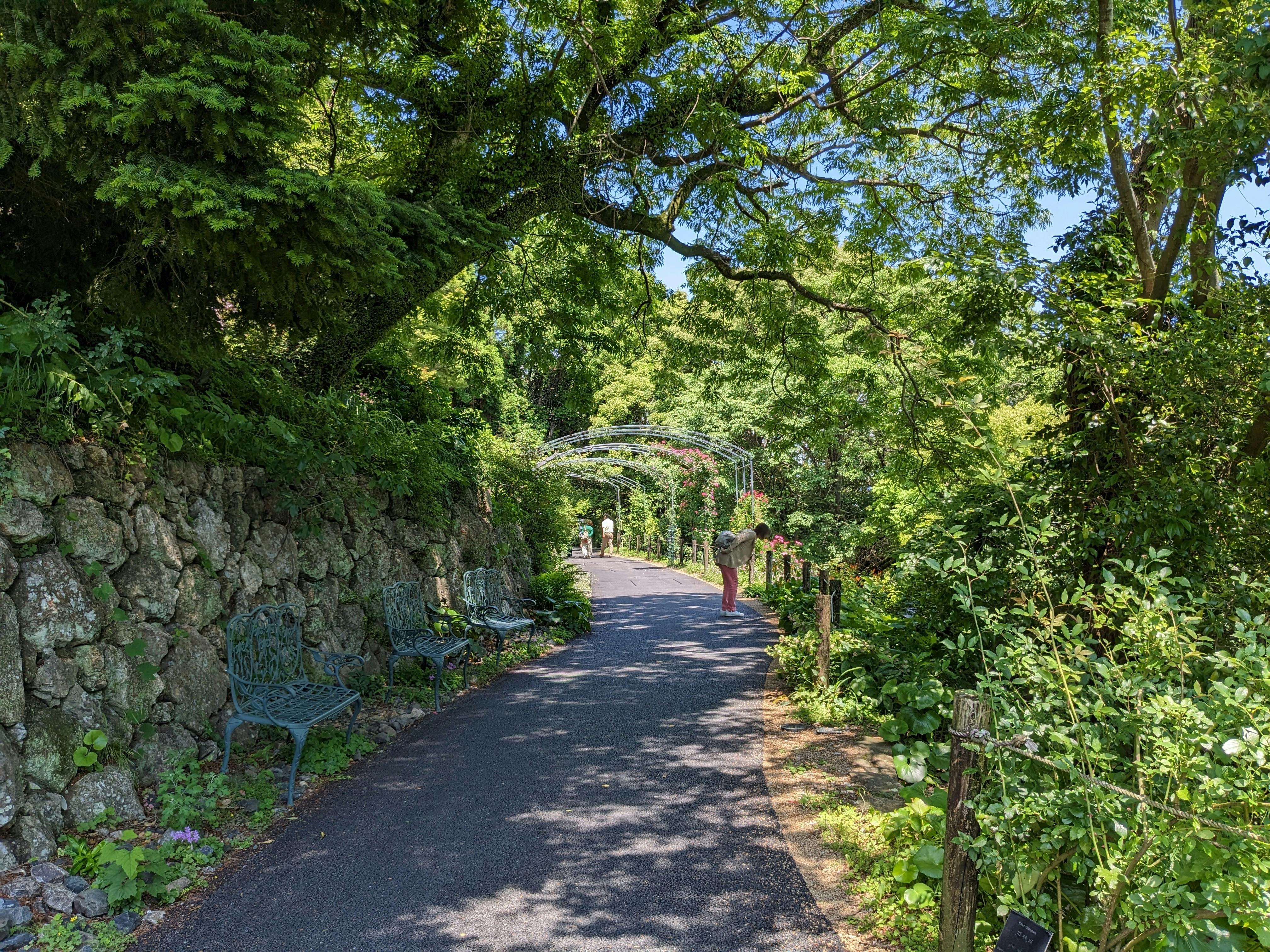 The Kochi Prefectural Makino Botanical Garden