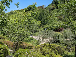 The Kochi Prefectural Makino Botanical Garden