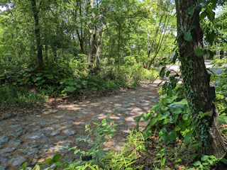 The Kochi Prefectural Makino Botanical Garden