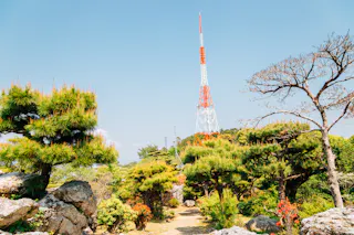 A tall red and white radio tower stands on a hilltop, surrounded by lush green trees, rocks, and a garden path under a clear blue sky.