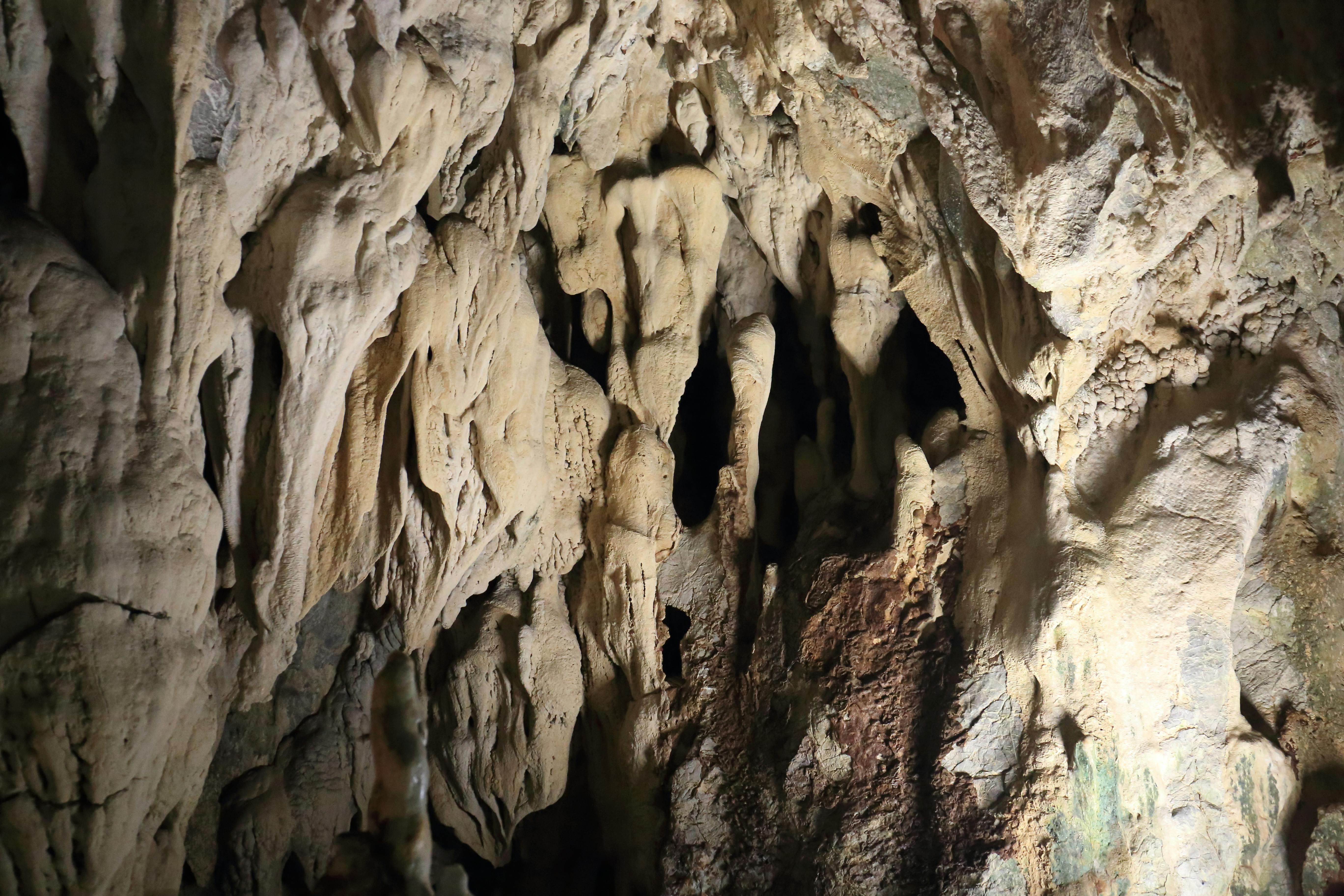 Rough cave interior with jagged rock formations, hanging stalactites, and textured surfaces illuminated by natural light.