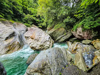A clear turquoise river flows between large, rugged rocks surrounded by dense, green forest vegetation. Sunlight filters through the trees, highlighting the natural beauty and tranquility of the rocky stream.