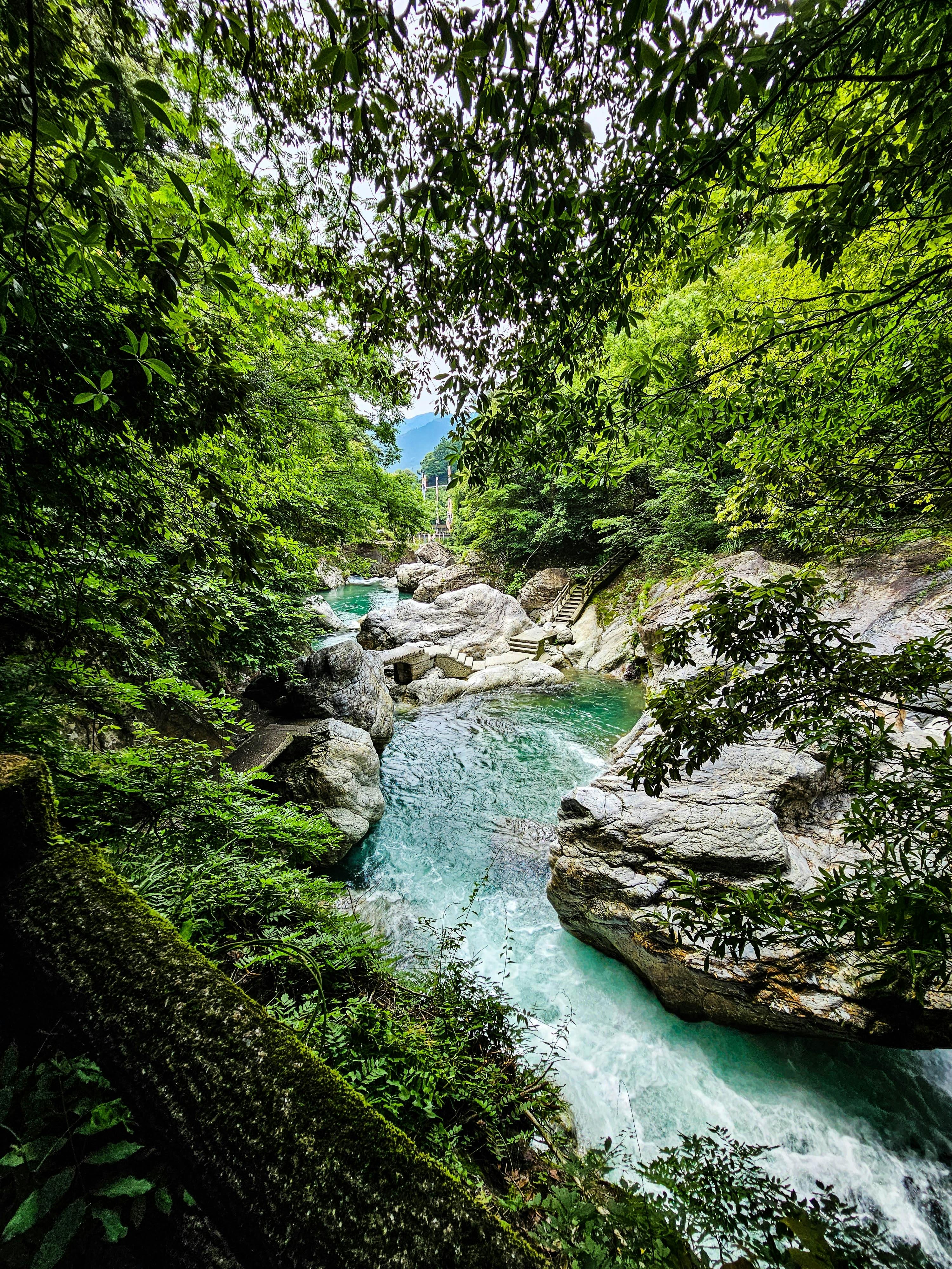 A clear turquoise river flows between rocky banks surrounded by lush green trees and dense foliage, with sunlight filtering through the leaves above.