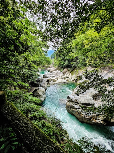 Nakatsu Gorge (Niyodo River)