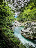 A clear turquoise river flows between rocky banks surrounded by lush green trees and dense foliage, with sunlight filtering through the leaves above.