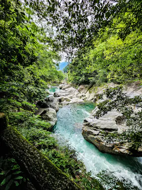 A clear turquoise river flows between rocky banks surrounded by lush green trees and dense foliage, with sunlight filtering through the leaves above.