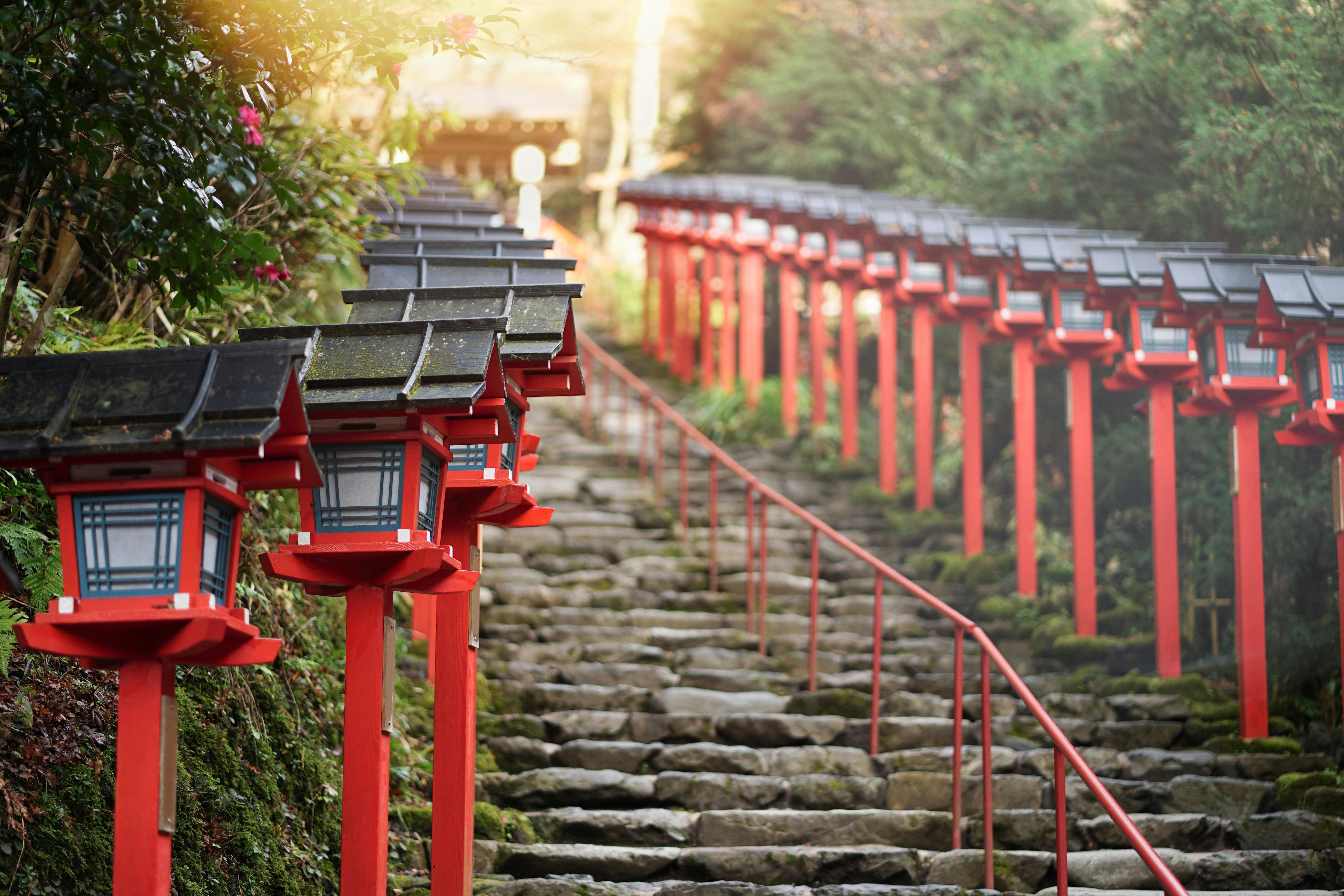 Stone steps lined with traditional red Japanese lanterns lead upward through lush greenery toward a sunlit shrine in the background.