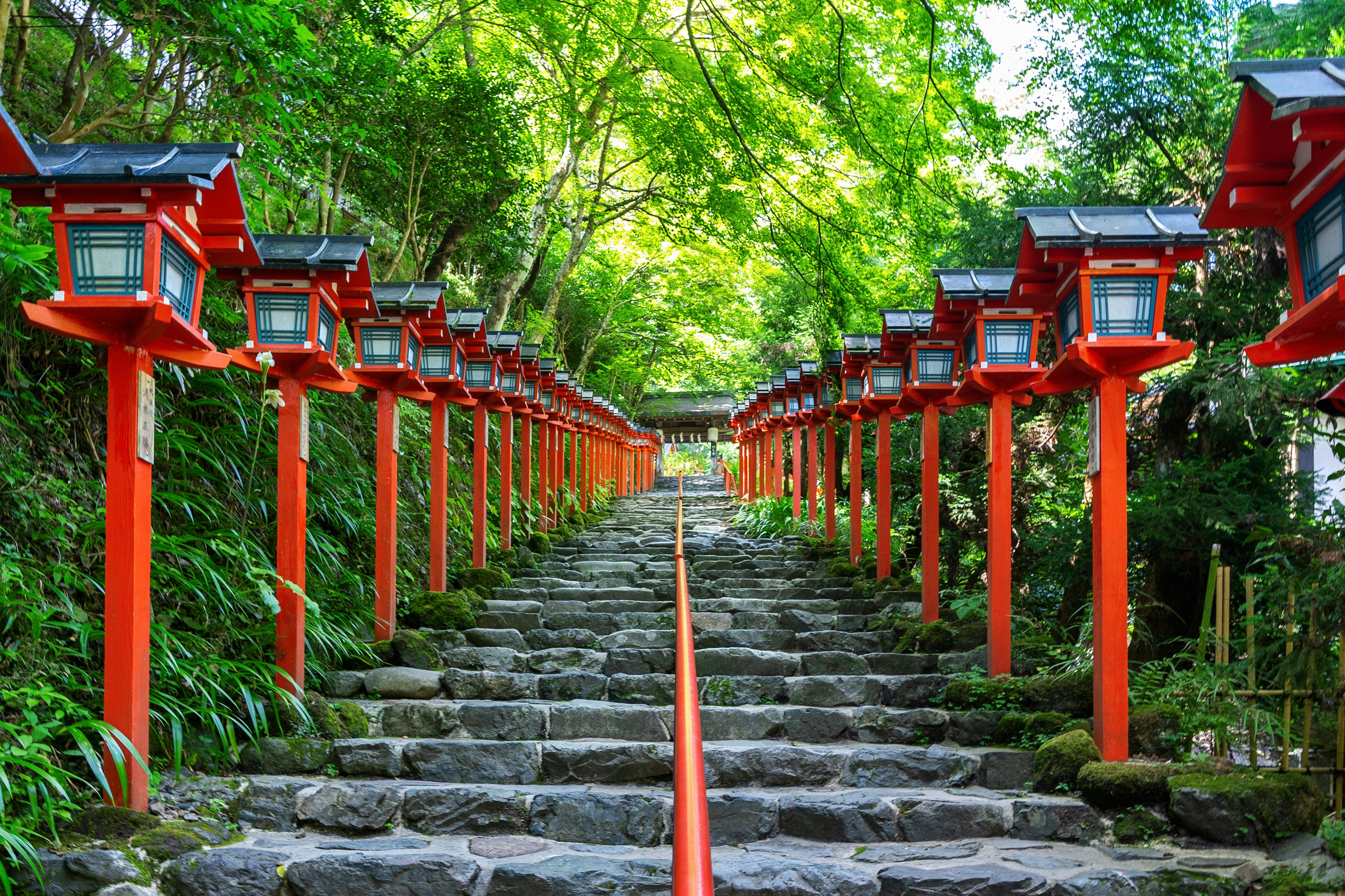 Stone steps lined with red lanterns lead upward through lush green foliage toward a traditional Japanese gate, creating a peaceful and inviting path.