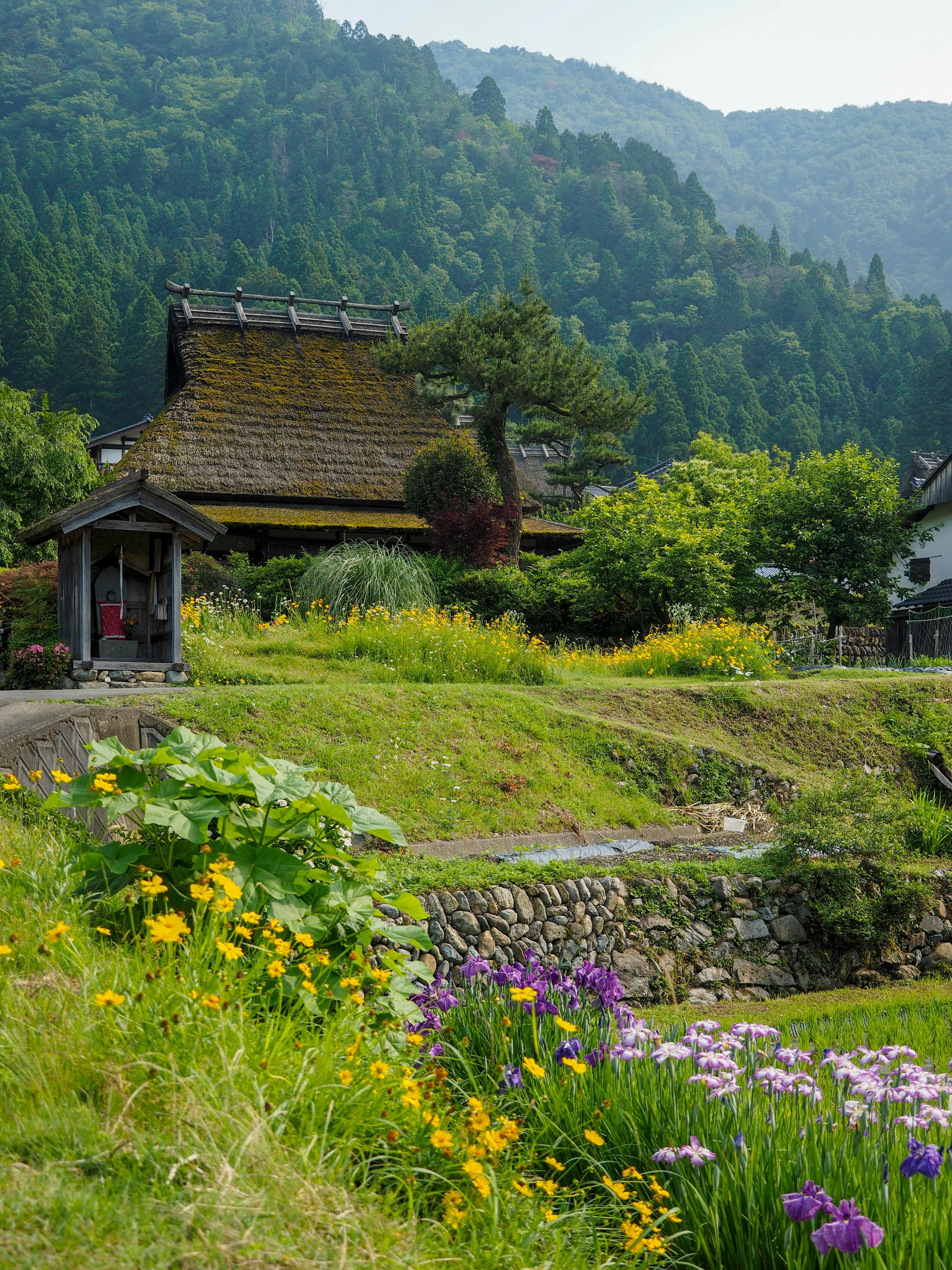 A traditional thatched-roof house sits among lush greenery and vibrant flowers, surrounded by mountains and dense forest under a hazy sky.