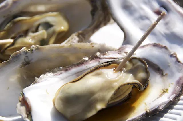 A close-up of fresh oysters on the half shell, one of which has a wooden pick inserted into it, displayed on a white plate.
