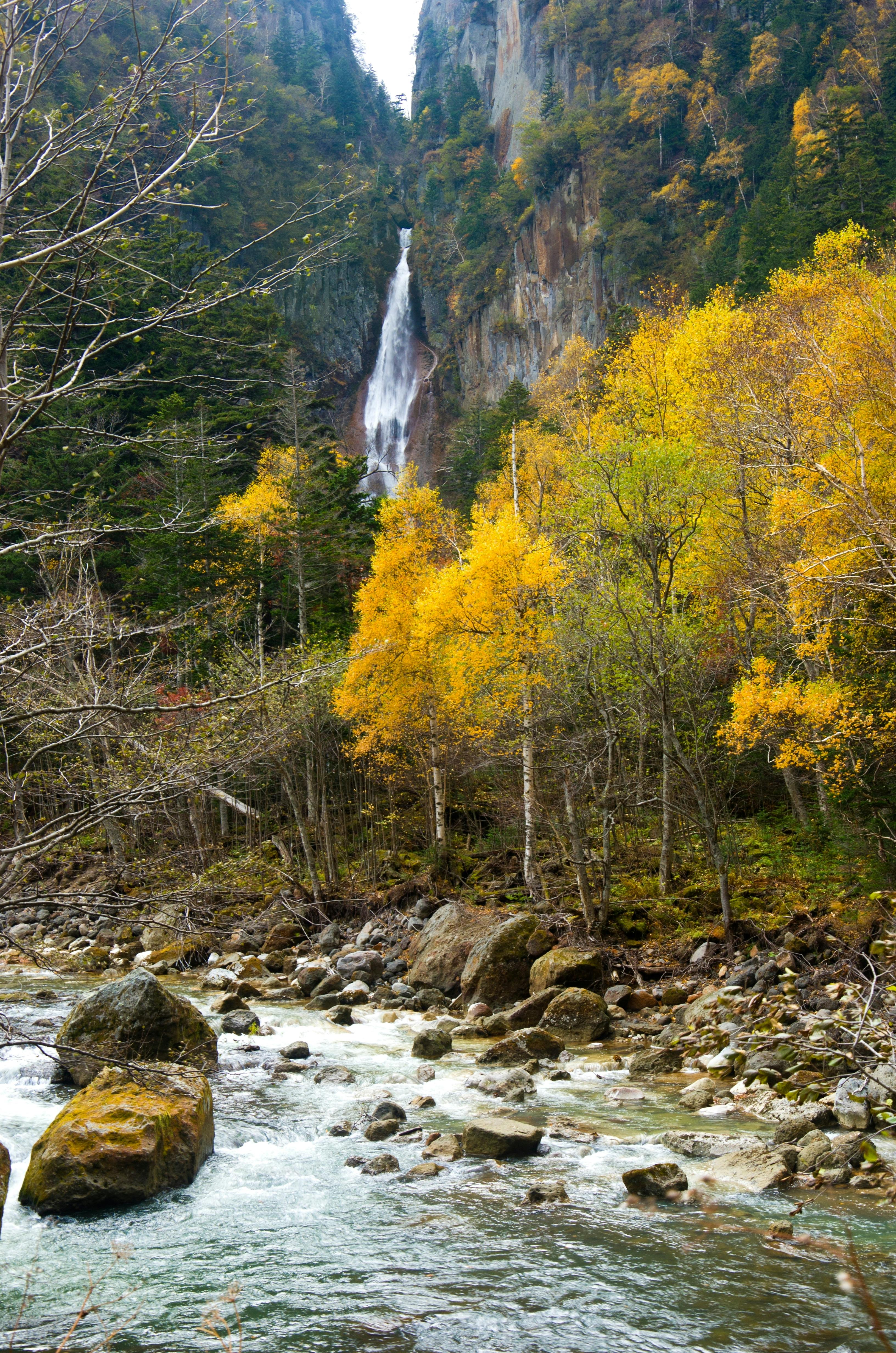 A tall waterfall cascades down a rocky cliff surrounded by autumn trees with golden and green leaves, while a rocky stream flows in the foreground.