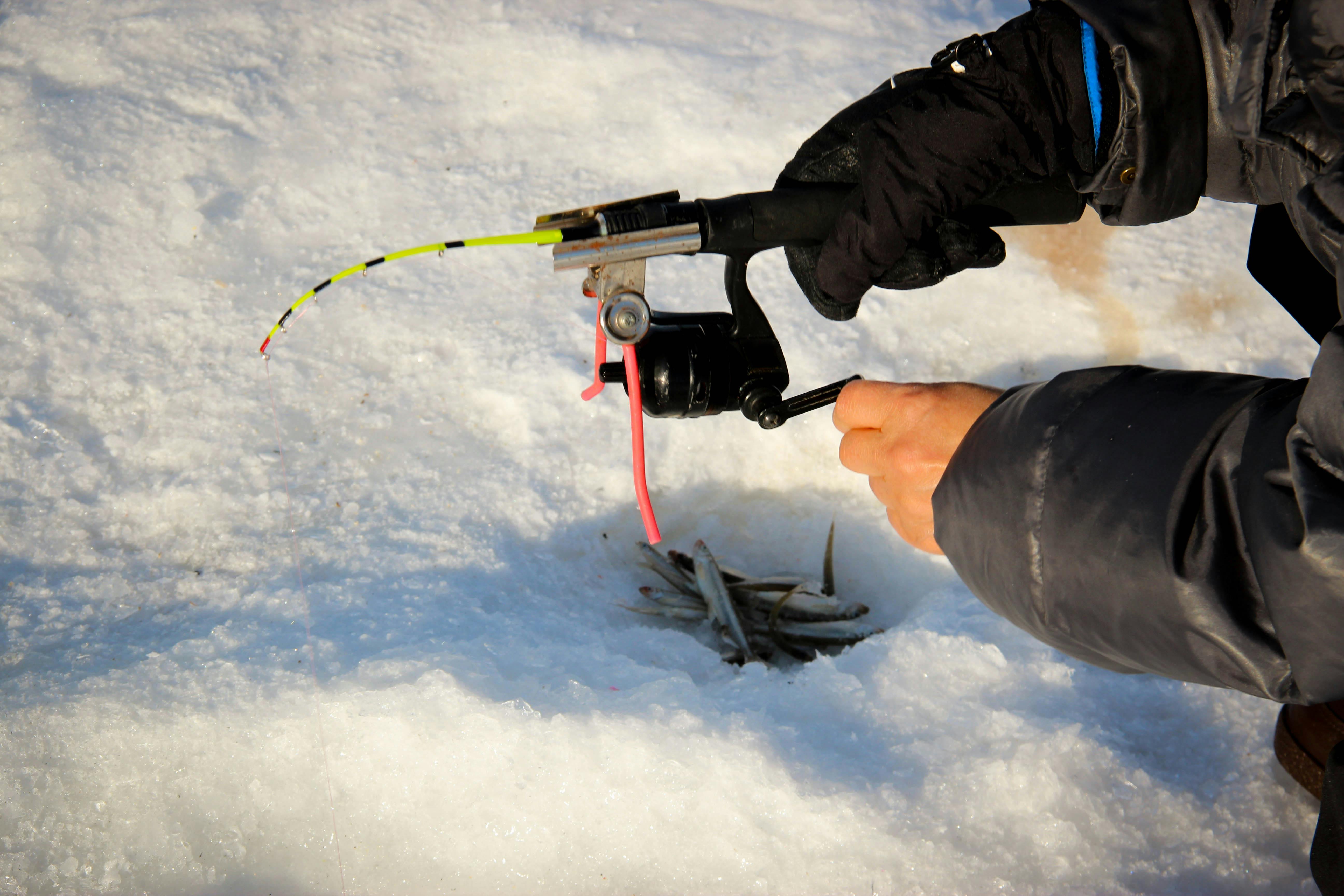 Wakasagi Smelt Ice-Fishing on Lake Akan