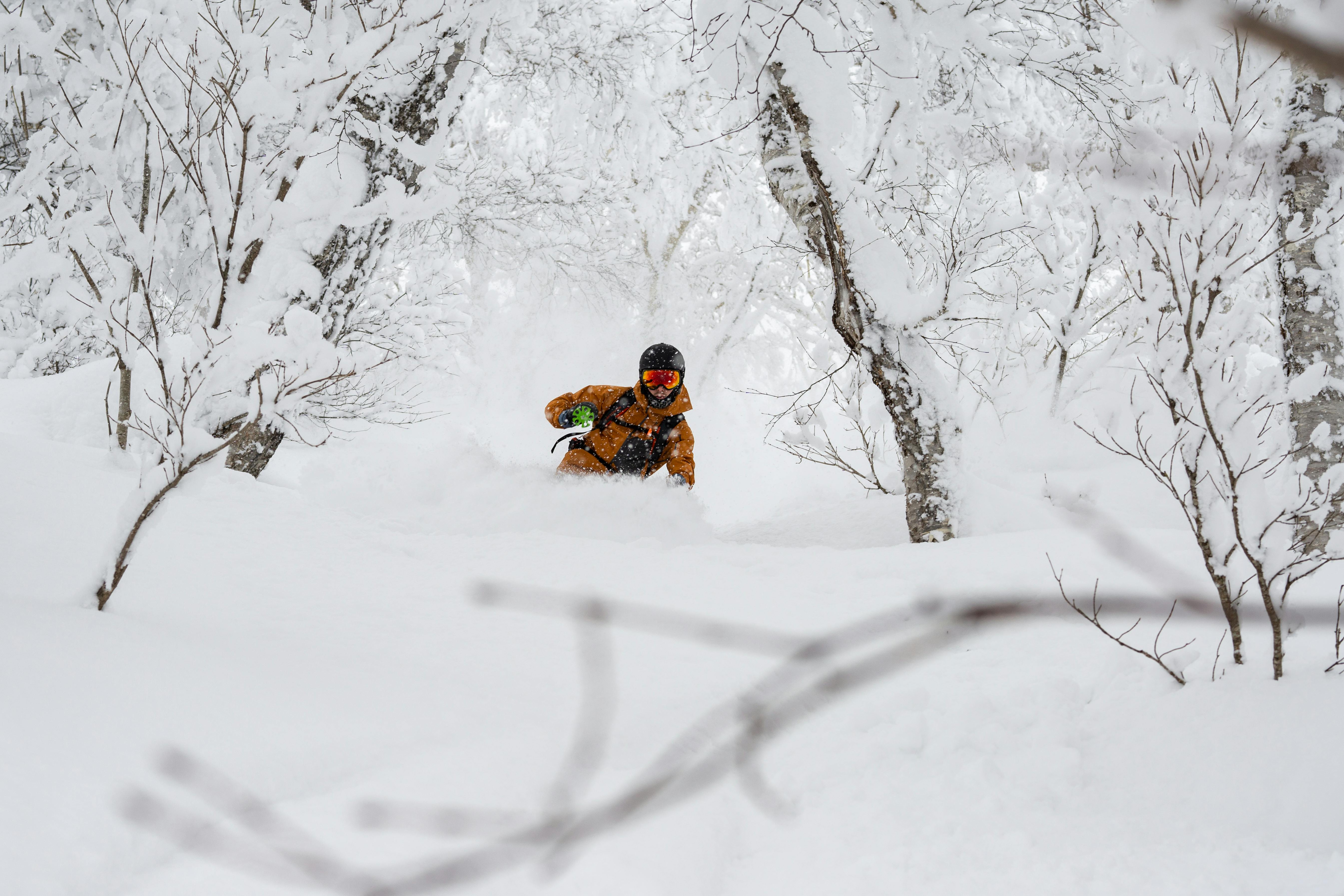 A skier wearing a yellow jacket, black helmet, and goggles rides through deep powder snow in a forest of snow-covered trees. Snow fills the air and the scene is bright and wintry.