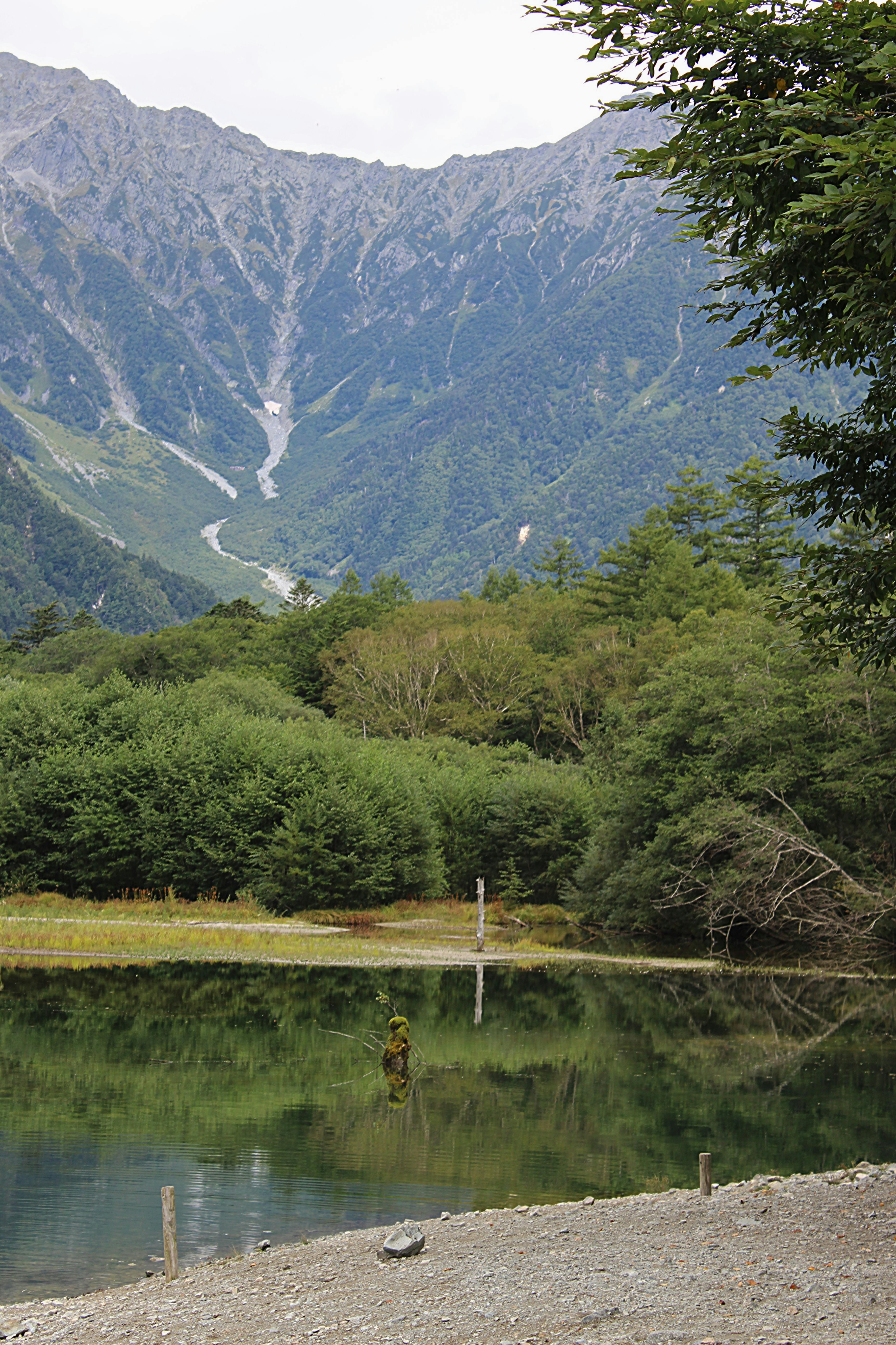 Taisho Pond (Taisho Ike)
