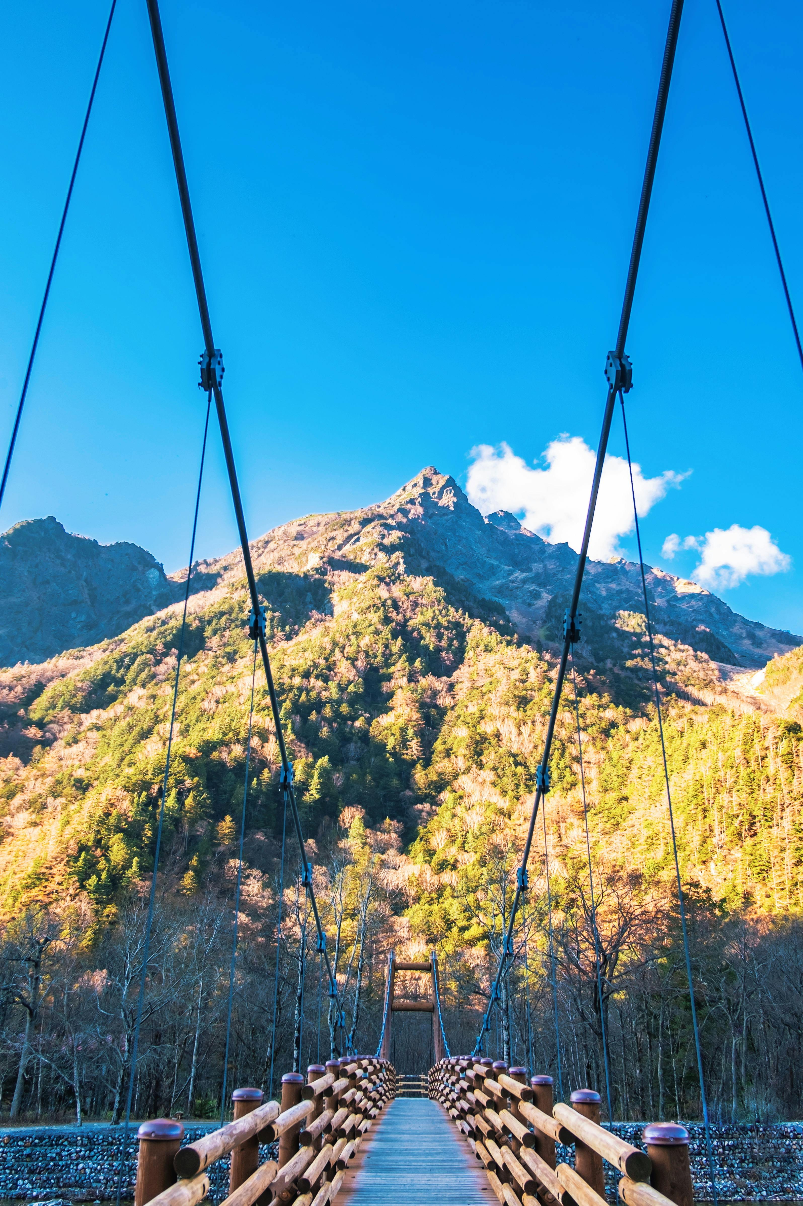 A suspension bridge leads toward a sunlit, forested mountain under a clear blue sky, with cables framing the scenic view.