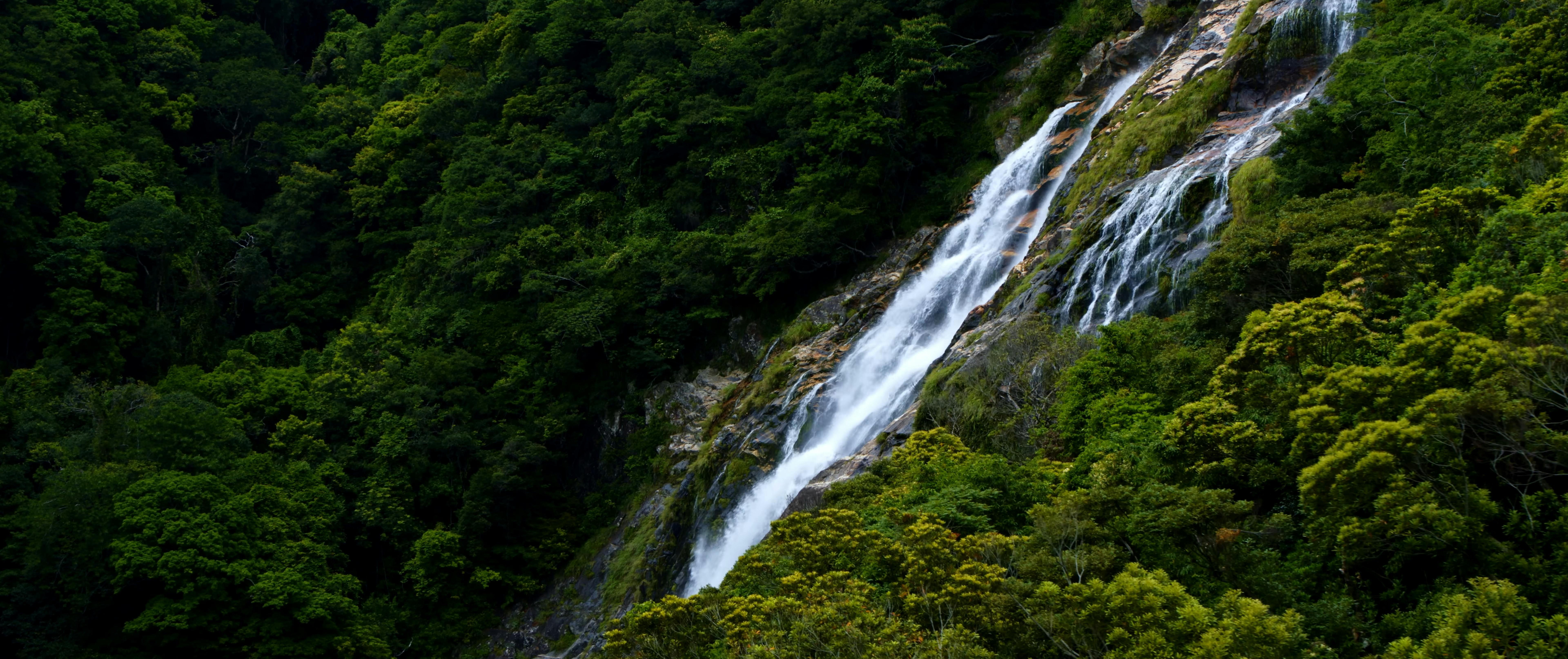 A tall waterfall cascades down a rocky cliff surrounded by dense, lush green forest. The water flows in multiple streams, creating a striking contrast against the dark green foliage.