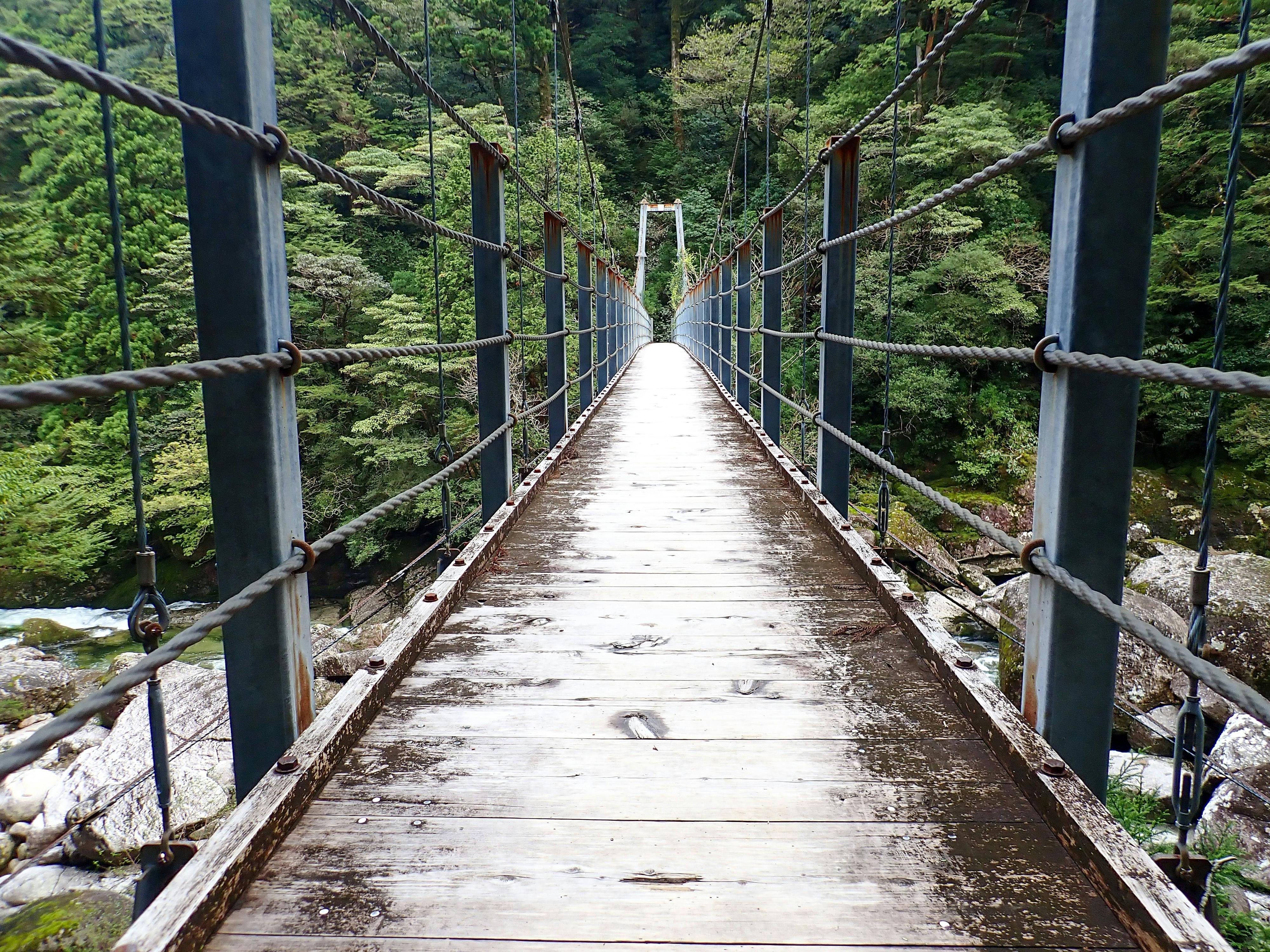 A narrow wooden suspension bridge crosses over a river, surrounded by dense green forest. The bridge has metal railings and cables, leading into the distance.