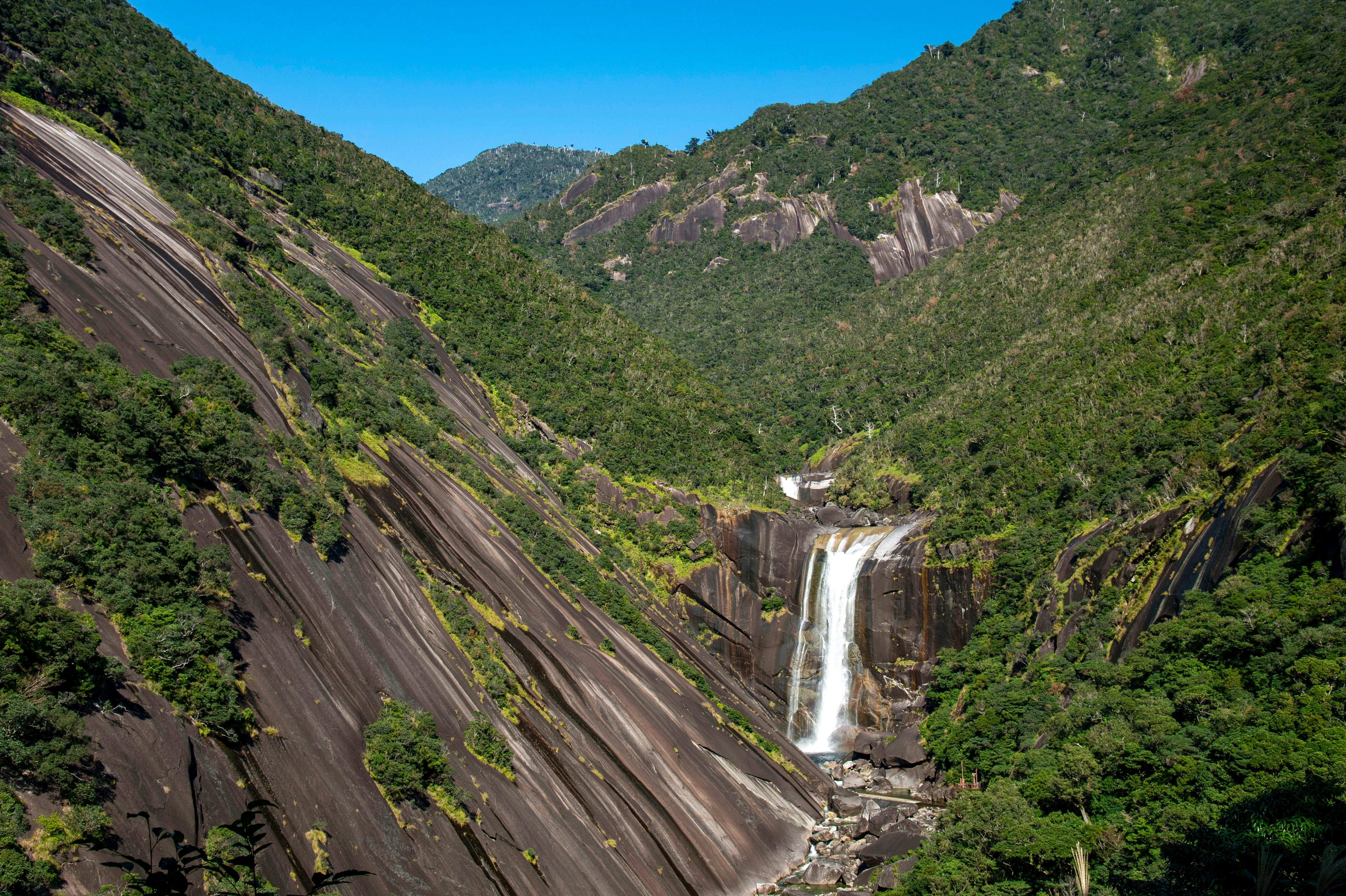 Yakushima National Park