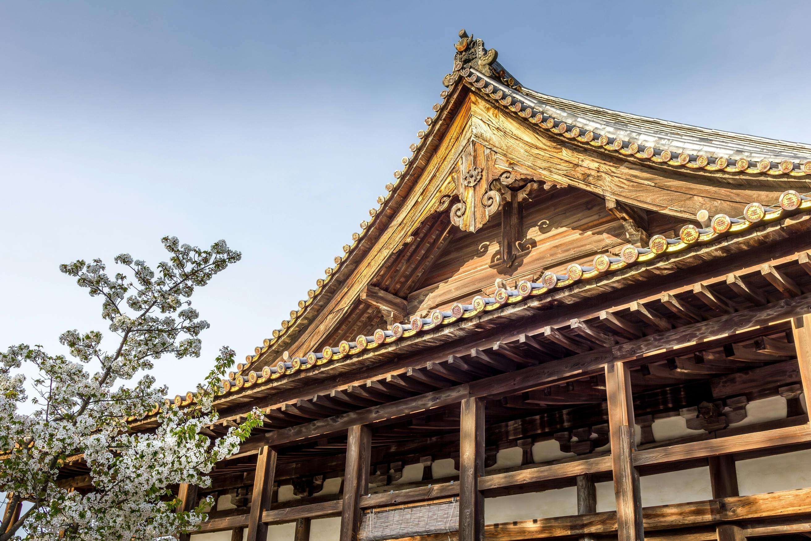 A traditional wooden Japanese temple with intricate roofing and architectural details is framed by a blossoming cherry tree against a clear blue sky.