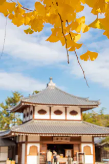 A traditional Japanese building with a tiled roof is seen in the background, while bright yellow ginkgo leaves hang in the foreground against a blue sky.