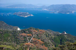 Shishiiwa Observatory