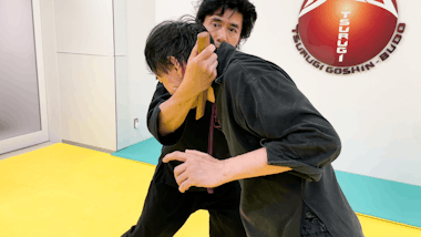 Tsurugi Goshin-Budo